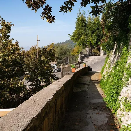 Casa Scola