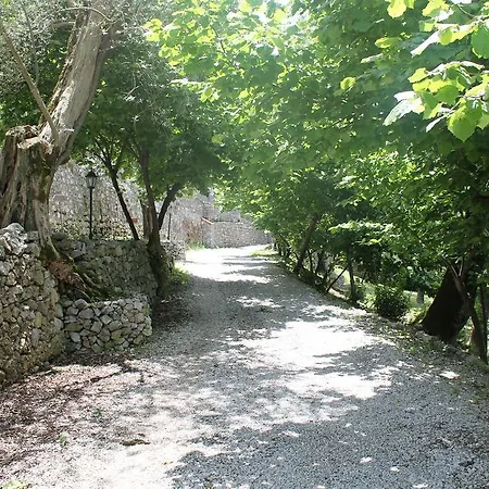 Casa Scola Bauernhof Gragnano
